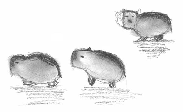 Capybaras (Crayons)