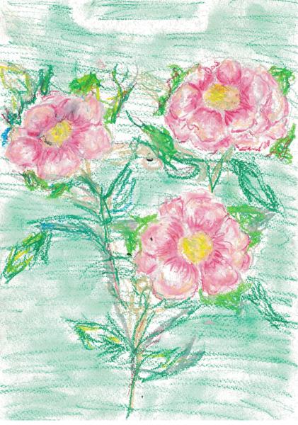 Flowering Shrub (Pastel)