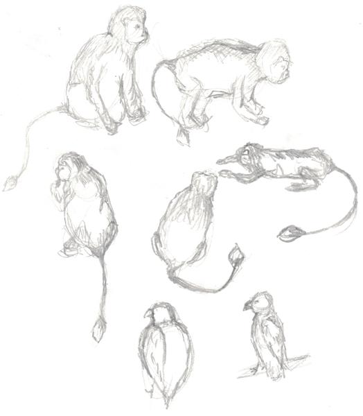 Plein Air Sketches (2026)