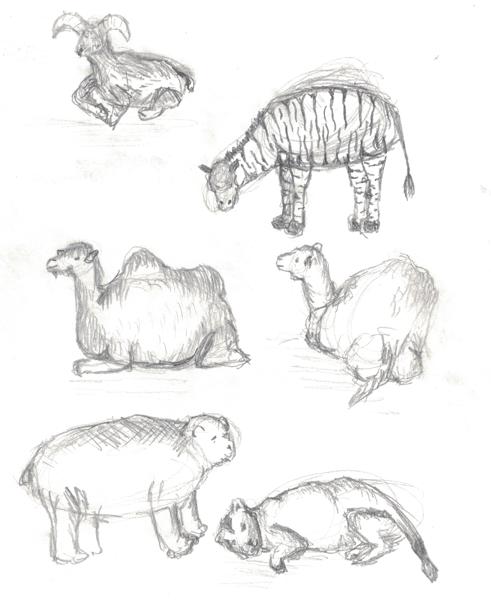 Zoo Animal Sketches (Pencil)